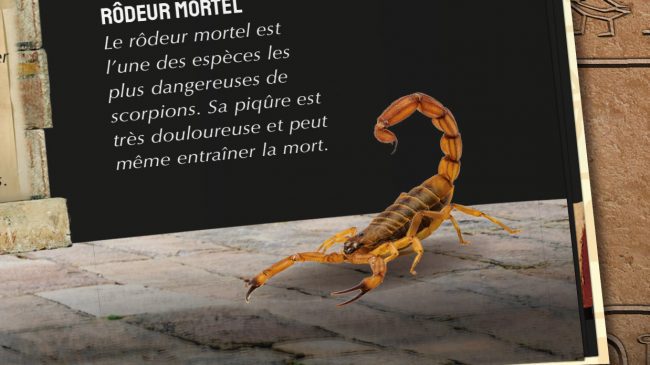 le-tombeau-du-pharaon-zoom1 le-tombeau-du-pharaon-zoom1